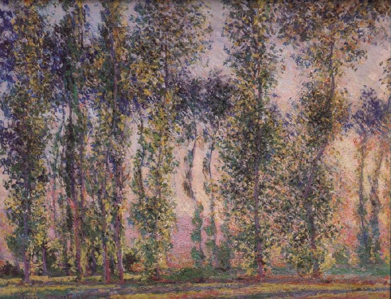 Claude Monet Poplars at Giverny Sweden oil painting art